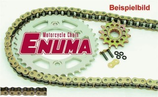 ENUMA Kettensatz Kettenkit Ducati 620 Monster i.E., Bj. 04, 5. Gang, 1 Bremsscheibe, Kettenfarbe: GOLD