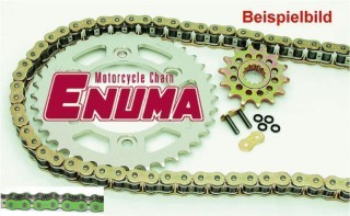 ENUMA Kettensatz Kettenkit Honda CB 1000, Bj. 93-, Typ: SC30, Kettenfarbe: GRÜN