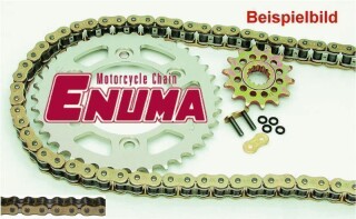 ENUMA Kettensatz Kettenkit Suzuki LS 650, Umbau Riemen auf Kette, Kettenfarbe: GOLD