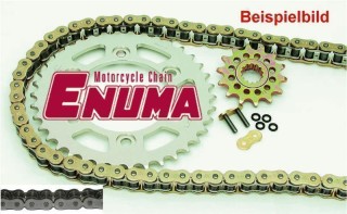 ENUMA Kettensatz Kettenkit Suzuki LS 650, Umbau Riemen auf Kette (alternative Übersetzung = 17/50), Kettenfarbe: SCHWARZ