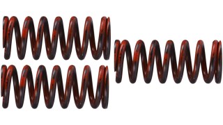TRW Lucas Kupplungsfedern Satz, MEF324-3
